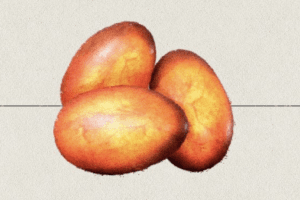 Ashwinder Eggs