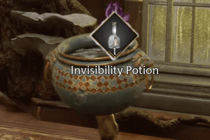 Invisibility Potion