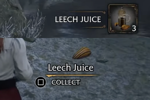 Leech Juice